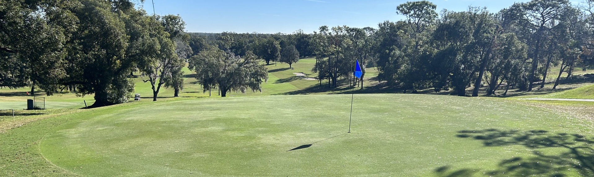 Image of golf ball on tee on grass.